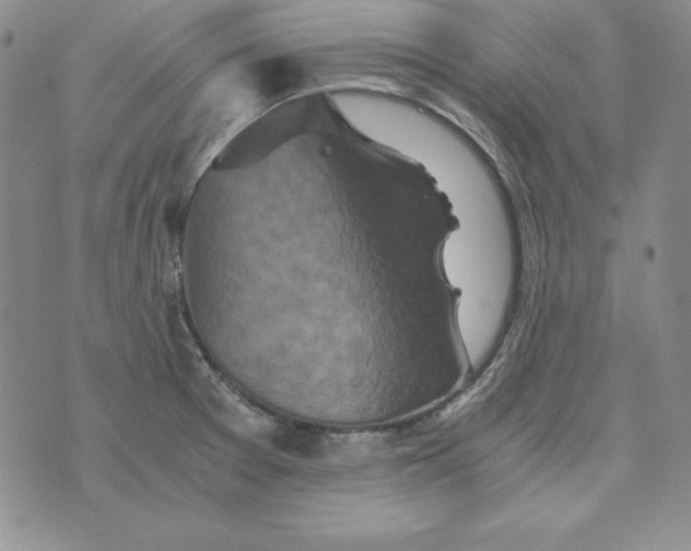 X0000076271377200610191728