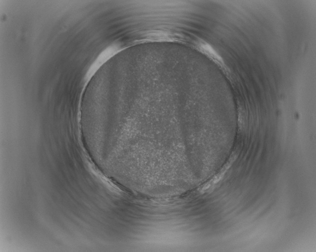 X0000076271378200610191728