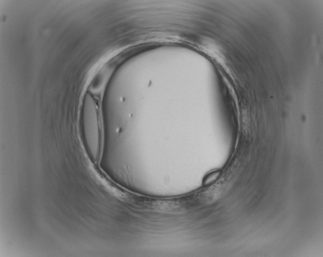 X0000076271379200610191728