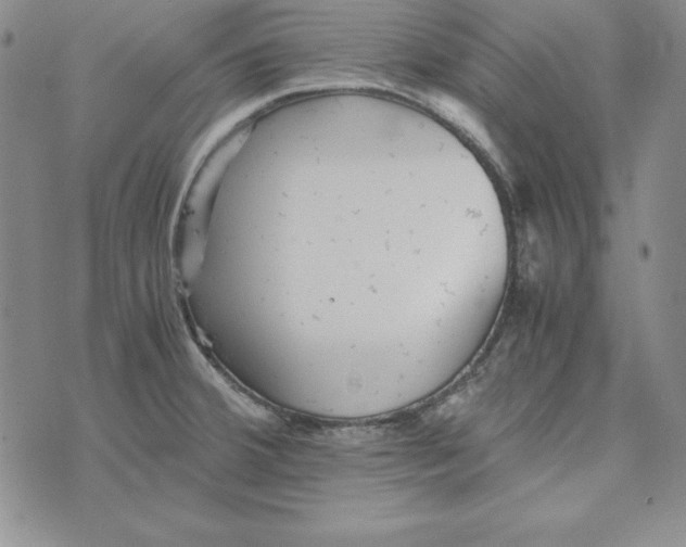 X0000076271380200610191728