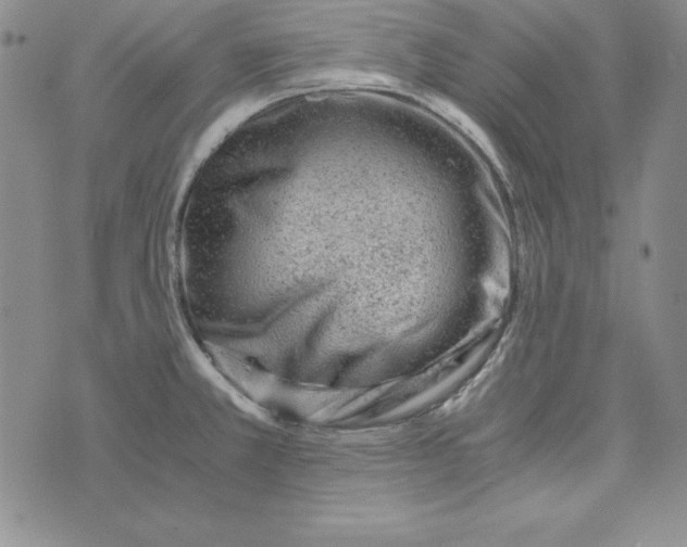 X0000076271381200610191728