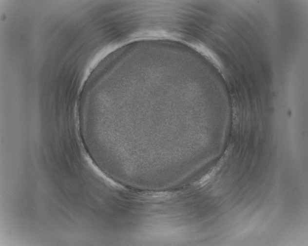 X0000076271382200610191728