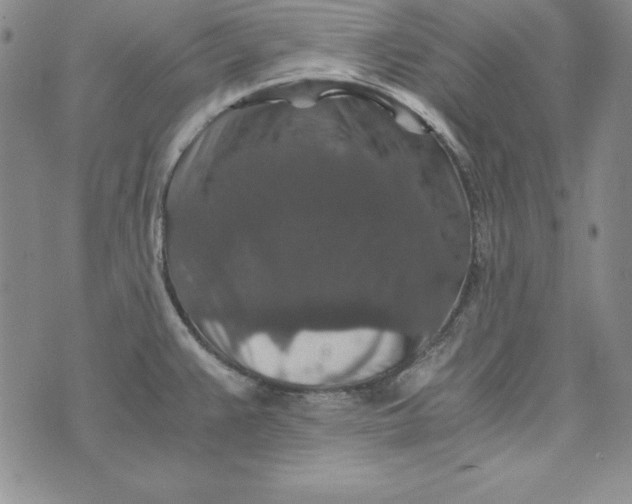 X0000076271383200610191728