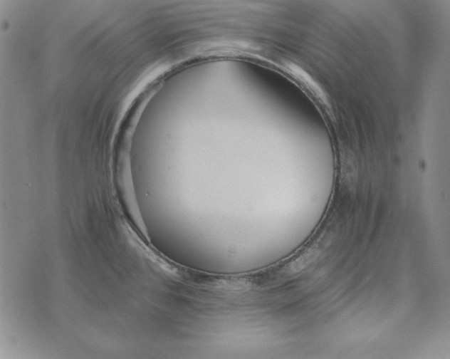 X0000076271384200610191728