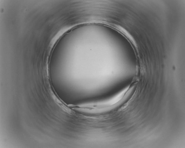 X0000076271388200610191728