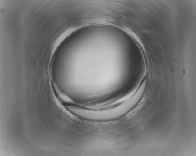 X0000076271389200610191728