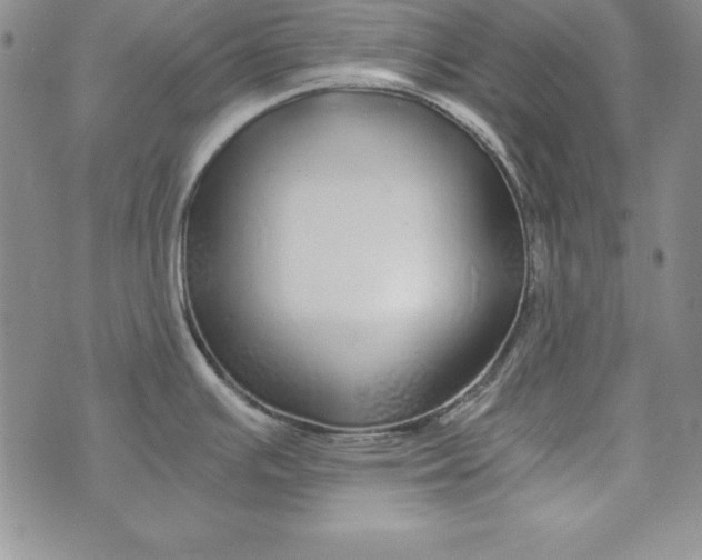 X0000076271391200610191728