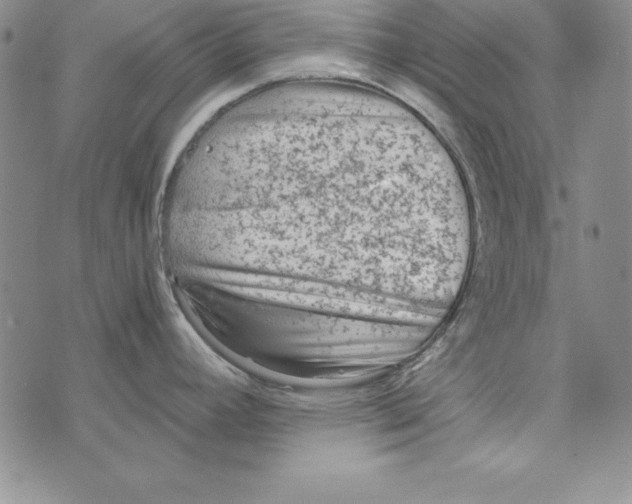 X0000076271392200610191728