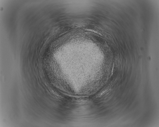 X0000076271393200610191727