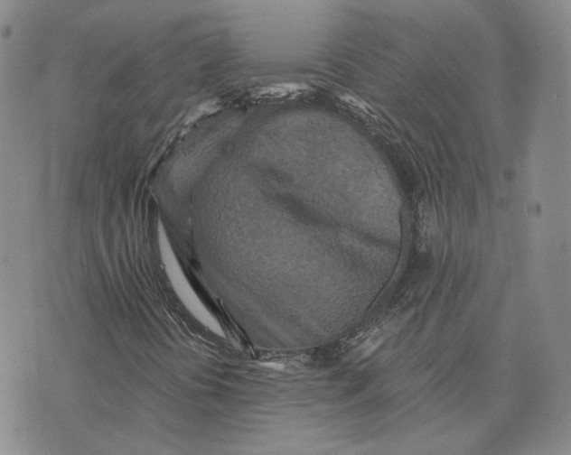 X0000076271394200610191727