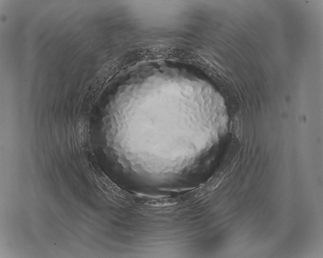 X0000076271395200610191727