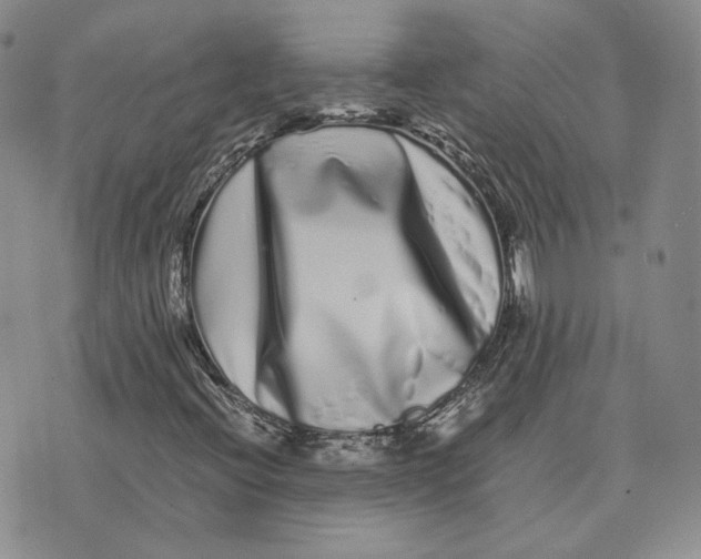 X0000076271396200610191727