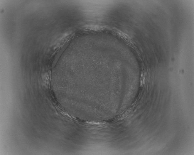 X0000076271397200610191728