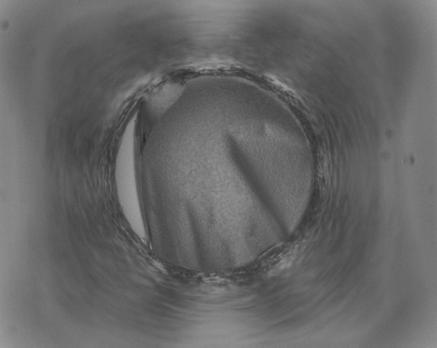 X0000076271398200610191728