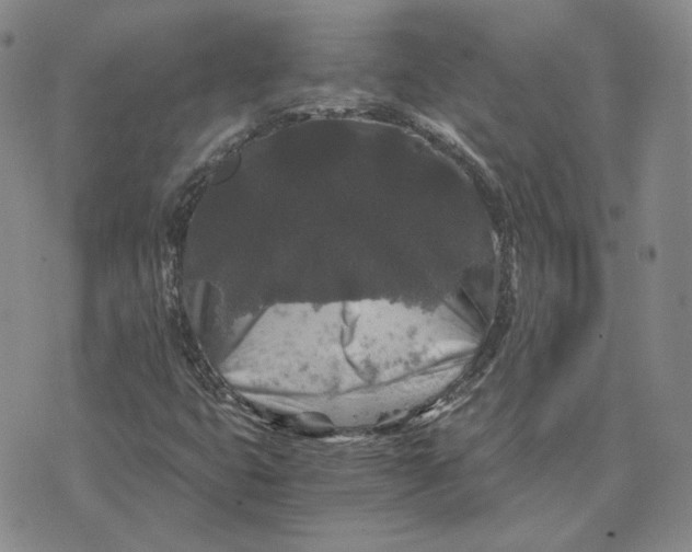 X0000076271399200610191728