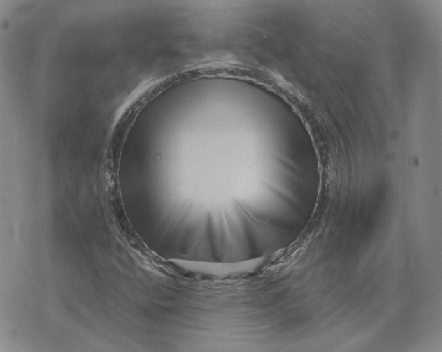 X0000076271400200610191728