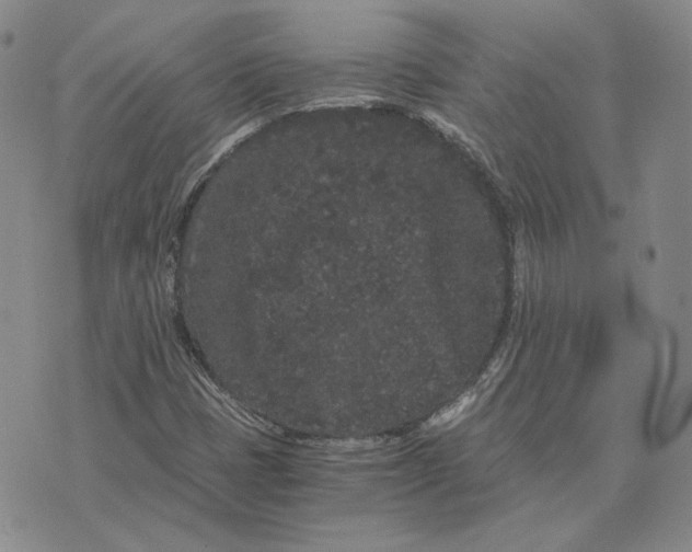 X0000076271401200610191728