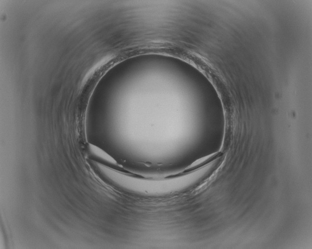 X0000076271402200610191728