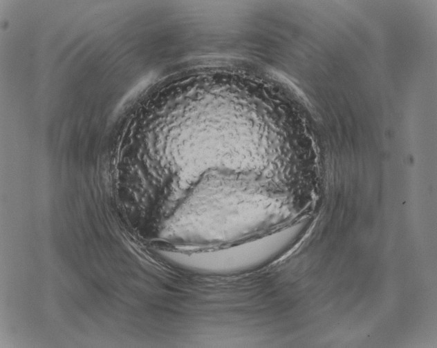 X0000076271403200610191728