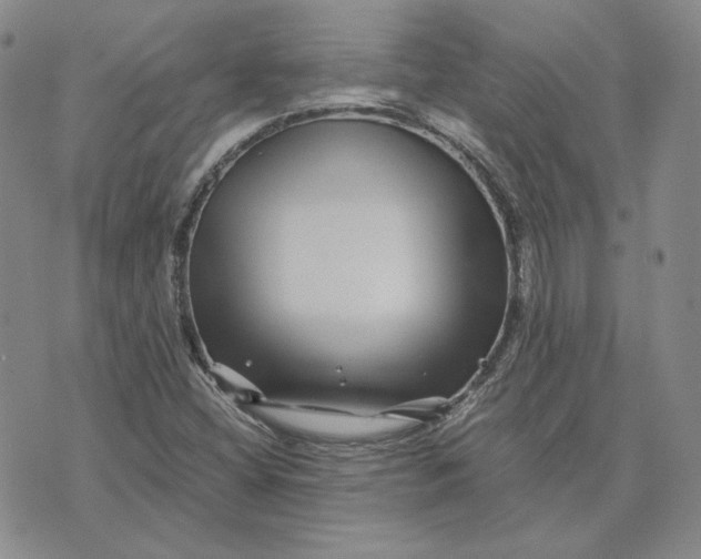 X0000076271404200610191728