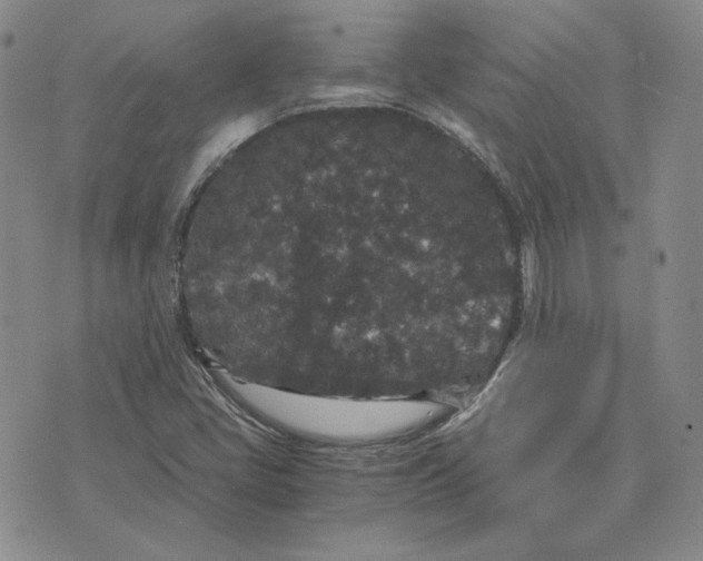 X0000076271405200610191728