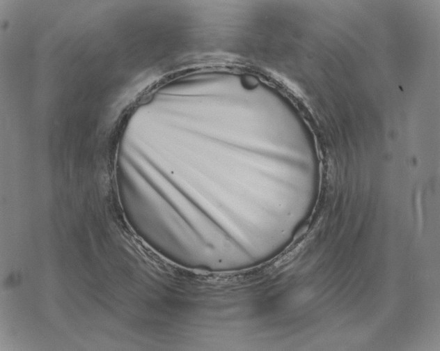 X0000076271407200610191728