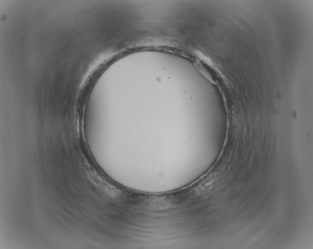 X0000076271408200610191728