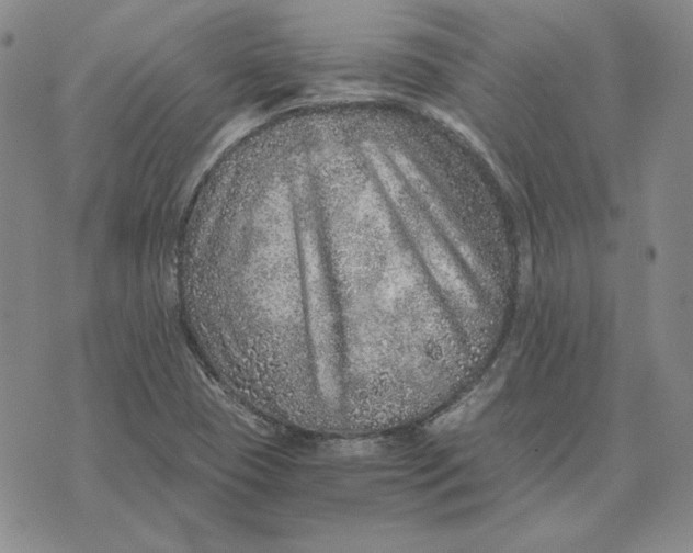 X0000076271409200610191728