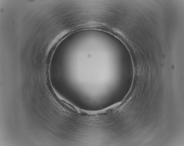 X0000076271410200610191728