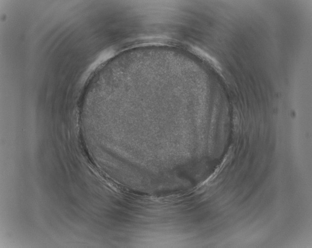 X0000076271411200610191728