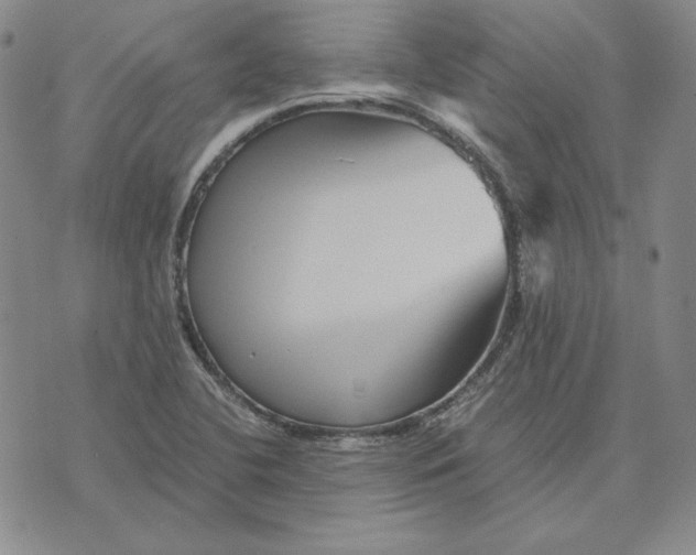 X0000076271412200610191728