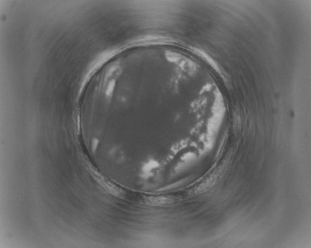 X0000076271413200610191728