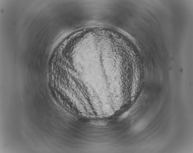 X0000076271415200610191728