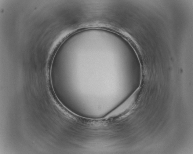 X0000076271416200610191728