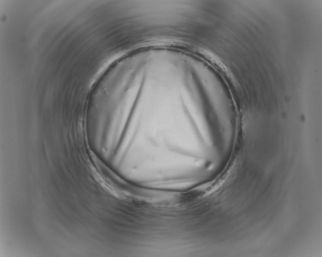 X0000076271417200610191728