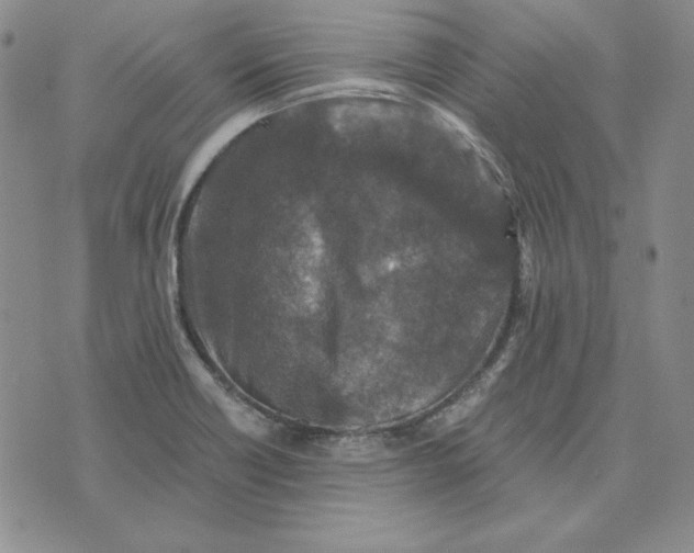 X0000076271418200610191728