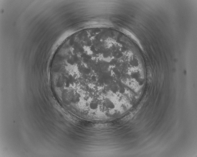 X0000076271419200610191728