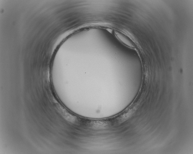 X0000076271420200610191728