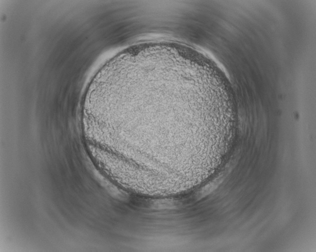 X0000076271421200610191728