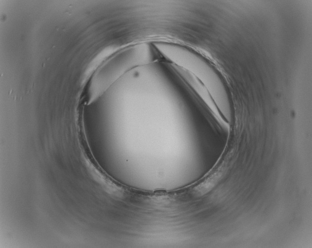 X0000076271422200610191728