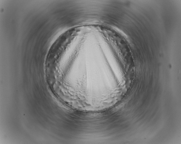 X0000076271423200610191728