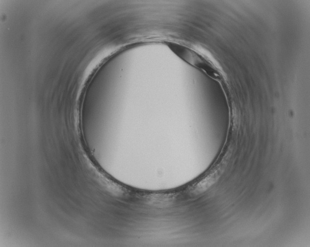 X0000076271424200610191728