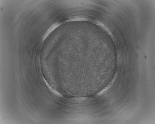 X0000076271425200610191728