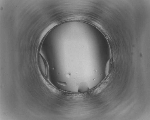 X0000076271426200610191728