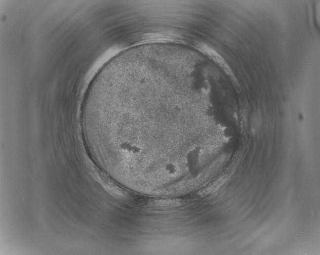 X0000076271427200610191728