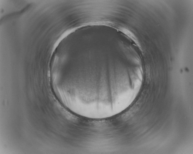 X0000076271428200610191728