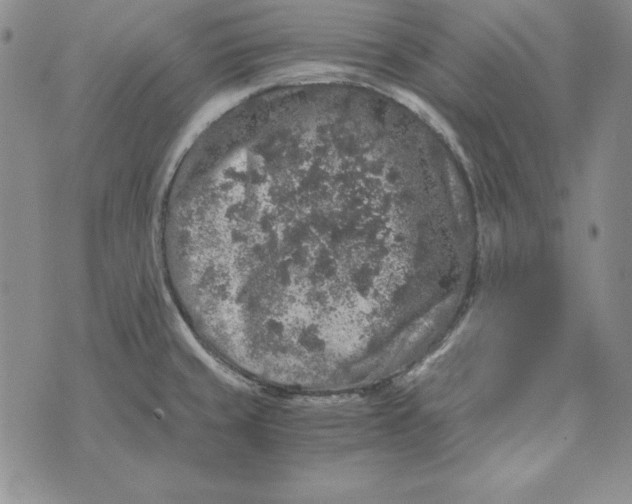 X0000076271429200610191728