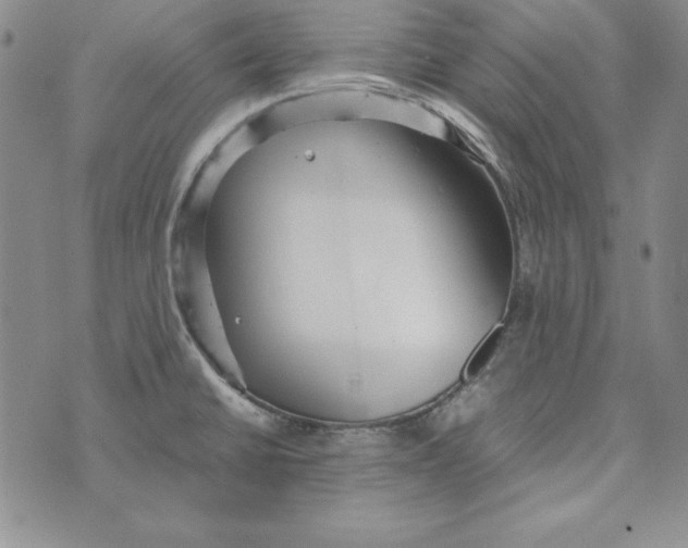 X0000076271430200610191728