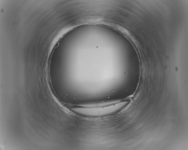 X0000076271432200610191728