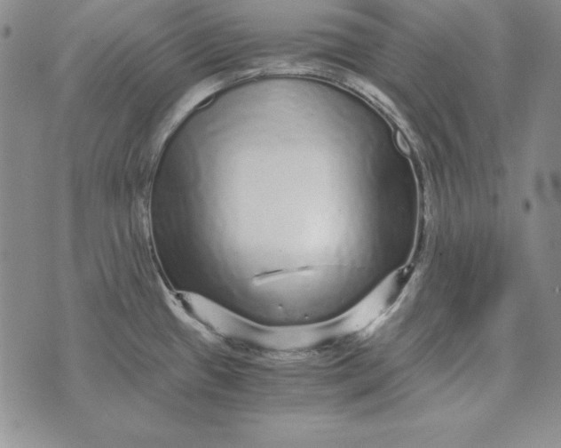 X0000076271433200610191728